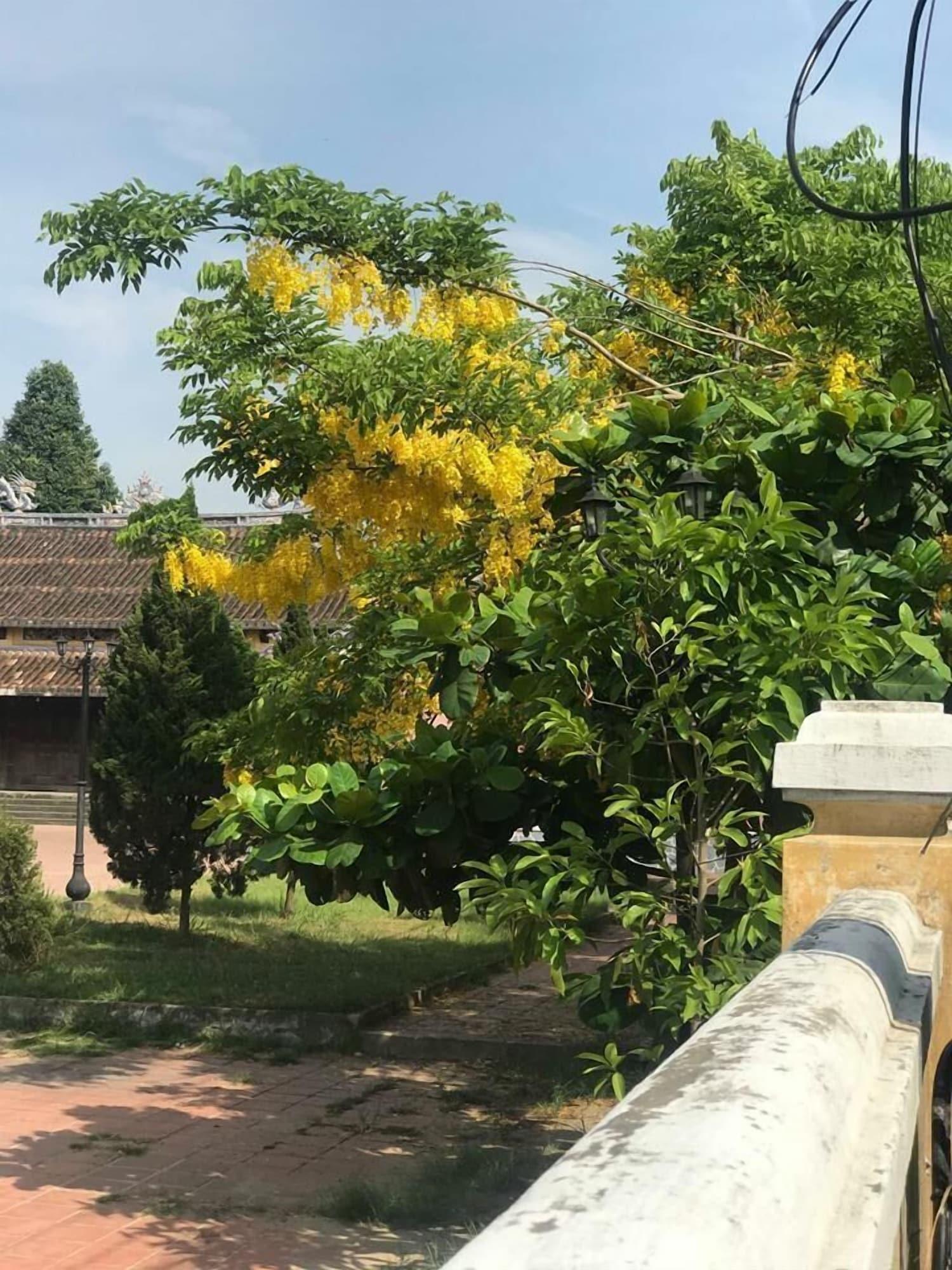 Champa Hoi An Villas Esterno foto